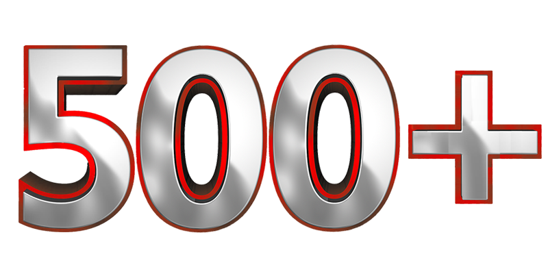 более 500 выполненых проектов